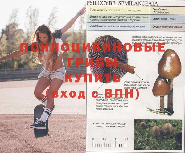 метамфетамин Богданович