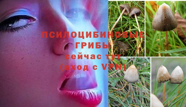 метамфетамин Богданович