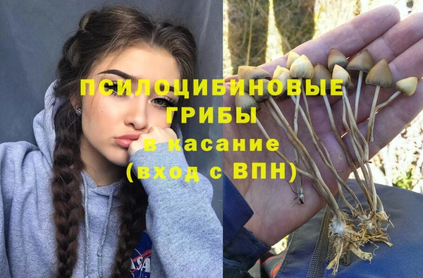 MESCALINE Богородицк